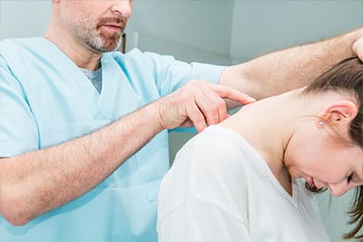 spinal cord